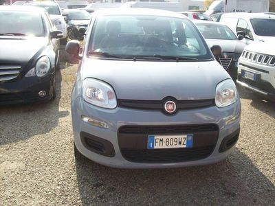 Fiat Panda 1.2 EasyPower Easy usata