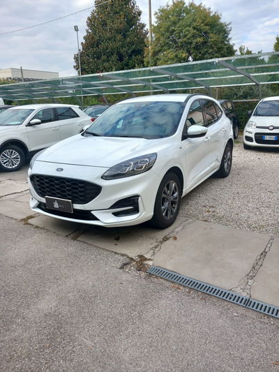 Ford Kuga 1.5 EcoBlue 120 CV 2WD ST-Line usata