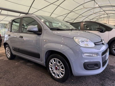 Fiat Panda 1.2 EasyPower Easy usata
