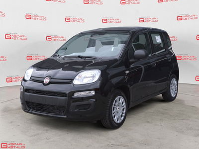 Fiat Panda 1.0 firefly hybrid Icon s&s 70cv nuova
