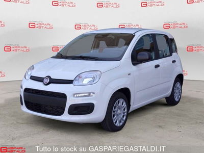 Fiat Panda 1.0 FireFly S&S Hybrid City Cross nuova