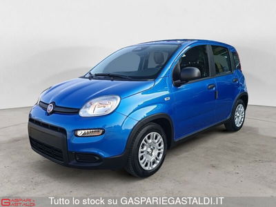Fiat Panda 1.0 FireFly S&S Hybrid City Cross nuova