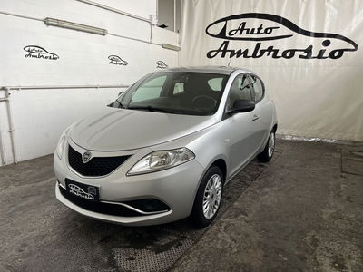 Lancia Ypsilon 1.2 69 CV 5 porte Silver usata