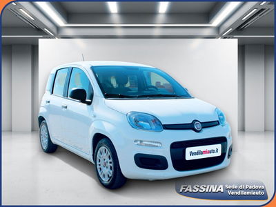 Fiat Panda Cross Cross 1.0 FireFly S&S Hybrid usata