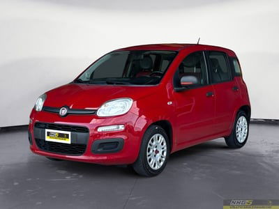 Fiat Panda 1.2 Easy usata