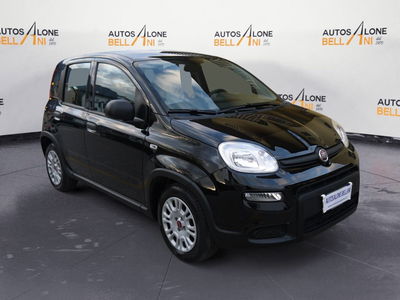 Fiat Panda 1.0 FireFly S&S Hybrid Easy usata
