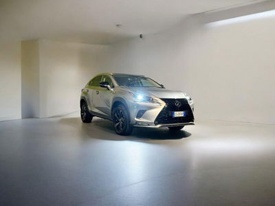 Lexus NX Hybrid 4WD Premium usata