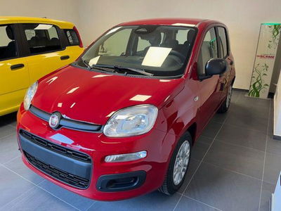 Fiat Panda 1.0 firefly hybrid s&s 70cv 5p.ti nuova