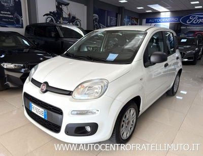 Fiat Panda 1.3 MJT 95 CV S&S Easy usata