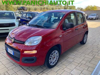 Fiat Panda 1.2 Easy usata
