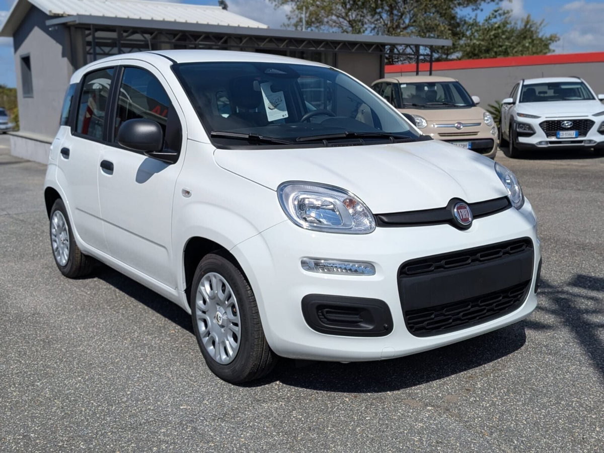 Fiat Panda 1.0 FireFly S&S Hybrid (3)