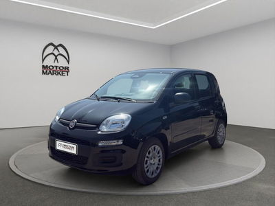 Fiat Panda Cross Cross 1.0 FireFly S&S Hybrid nuova