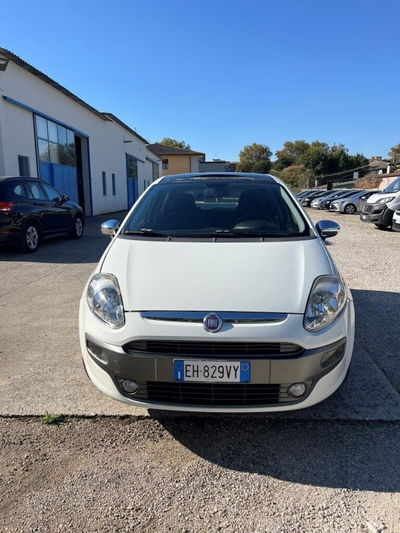 Fiat Punto Evo 1.4 5 porte Active usata
