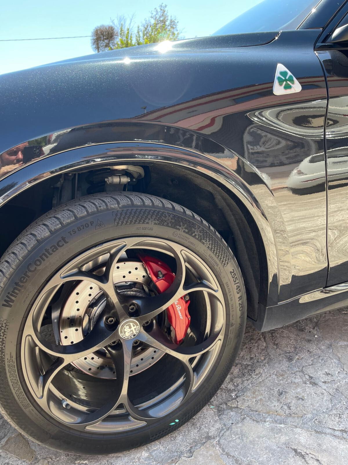 Alfa Romeo Stelvio Stelvio 2.9 Bi-Turbo V6 510 CV AT8 Quadrifoglio (7)