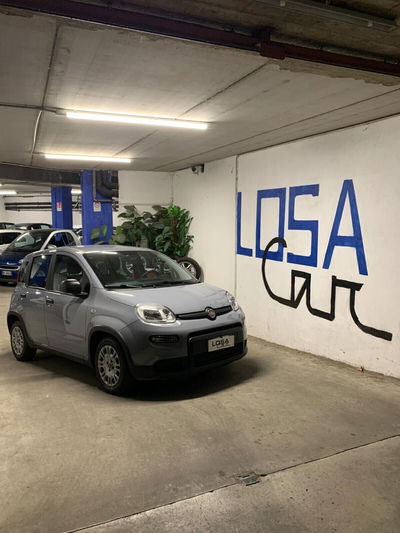Fiat Panda Cross Cross 1.0 FireFly S&S Hybrid usata