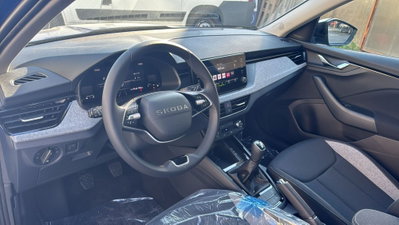 Skoda Kamiq 1.0 tsi Style 95cv (10)