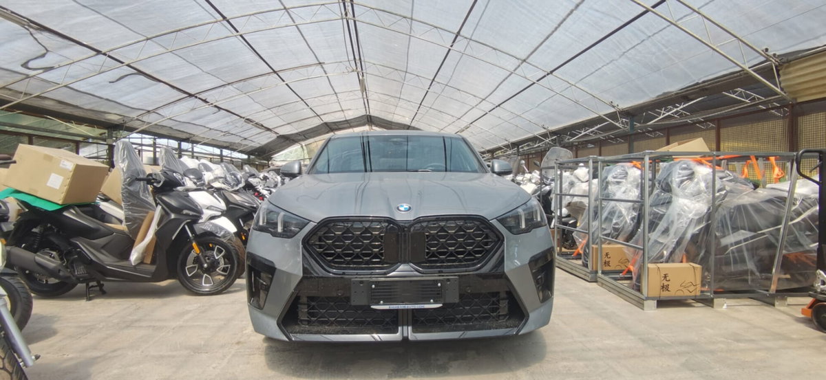 BMW X2 sdrive 20i 48V MSport auto (9)