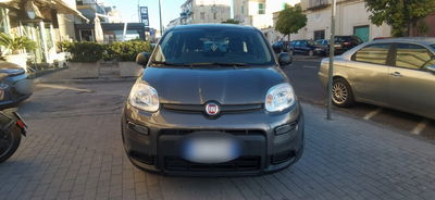 Fiat Panda 1.0 FireFly S&S Hybrid City Life usata
