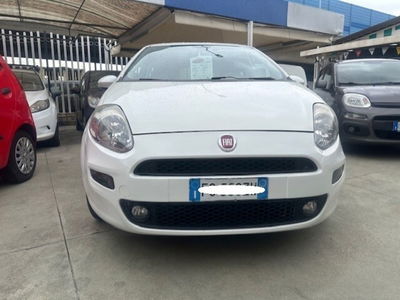 Fiat Punto 1.4 GPL 5 porte Van Easy 4 posti usata