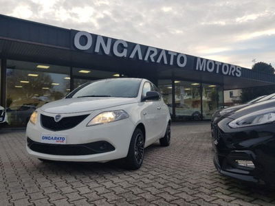 Lancia Ypsilon 1.2 69 CV 5 porte GPL Ecochic Alberta Ferretti usata