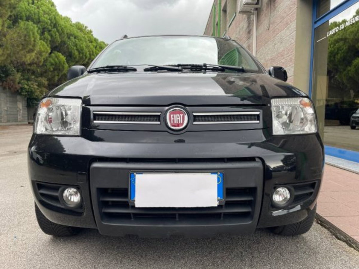 Fiat Panda 1.2 4x4 Climbing (4)