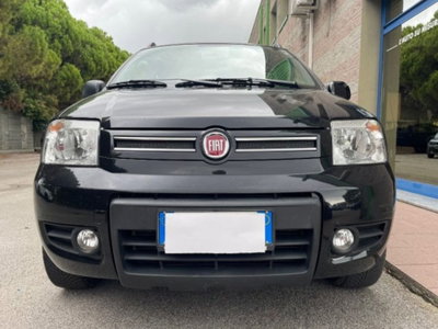 Fiat Panda 1.2 4x4 Climbing (4)