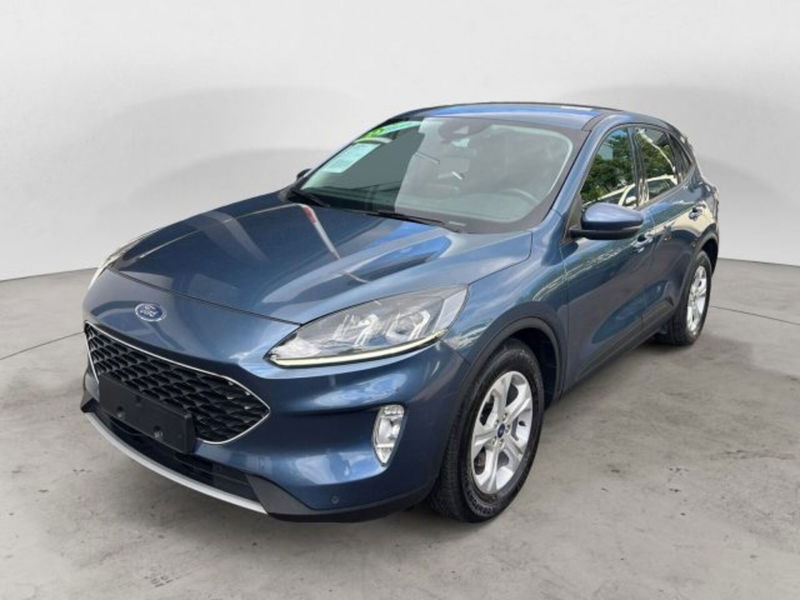Ford Kuga 1.5 EcoBlue 120 CV 2WD Titanium