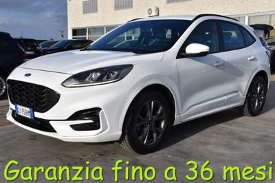 Ford Kuga 1.5 EcoBlue 120 CV aut. 2WD ST-Line X Design usata
