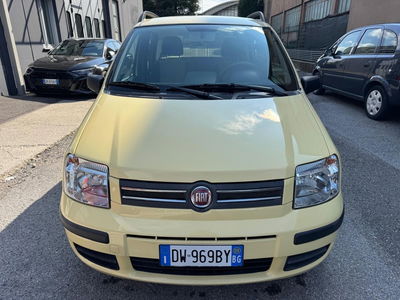 Fiat Panda 1.2 Dynamic GPL usata