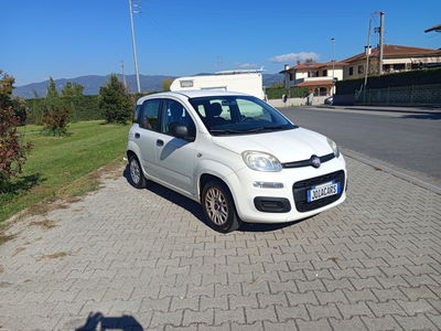 Fiat Panda 1.2 Lounge usata