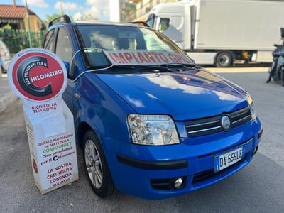 Fiat Panda 1.2 Alessi usata