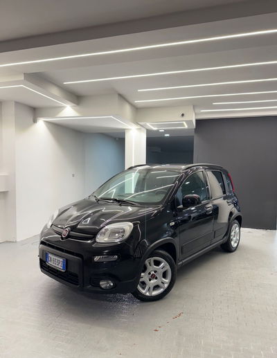 Fiat Panda 1.0 FireFly S&S Hybrid City Life usata