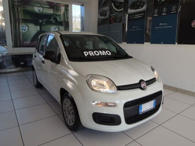 Fiat Panda 1.0 firefly hybrid s&s 70cv 5p.ti usata