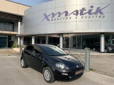 Fiat Punto 1.2 8V 5 porte Lounge usata
