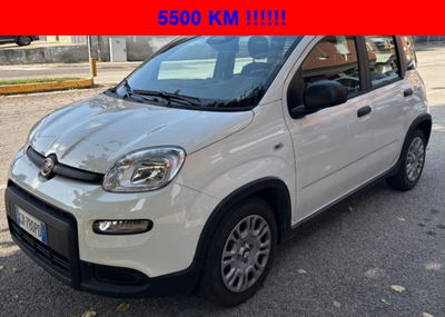 Fiat Panda 1.0 firefly hybrid s&s 70cv 5p.ti usata
