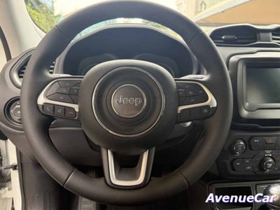 Jeep Renegade 1.6 Mjt 130 CV Longitude (11)