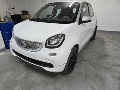 smart forfour forfour 70 1.0 Youngster usata