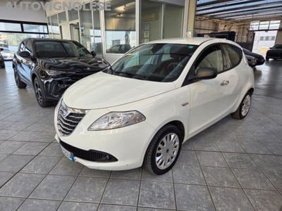 Lancia Ypsilon 1.2 69 CV 5 porte Silver usata