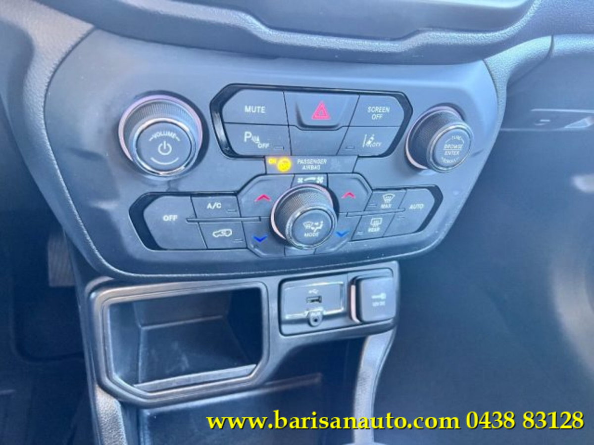 Jeep Renegade 1.6 Mjt 120 CV Business (10)