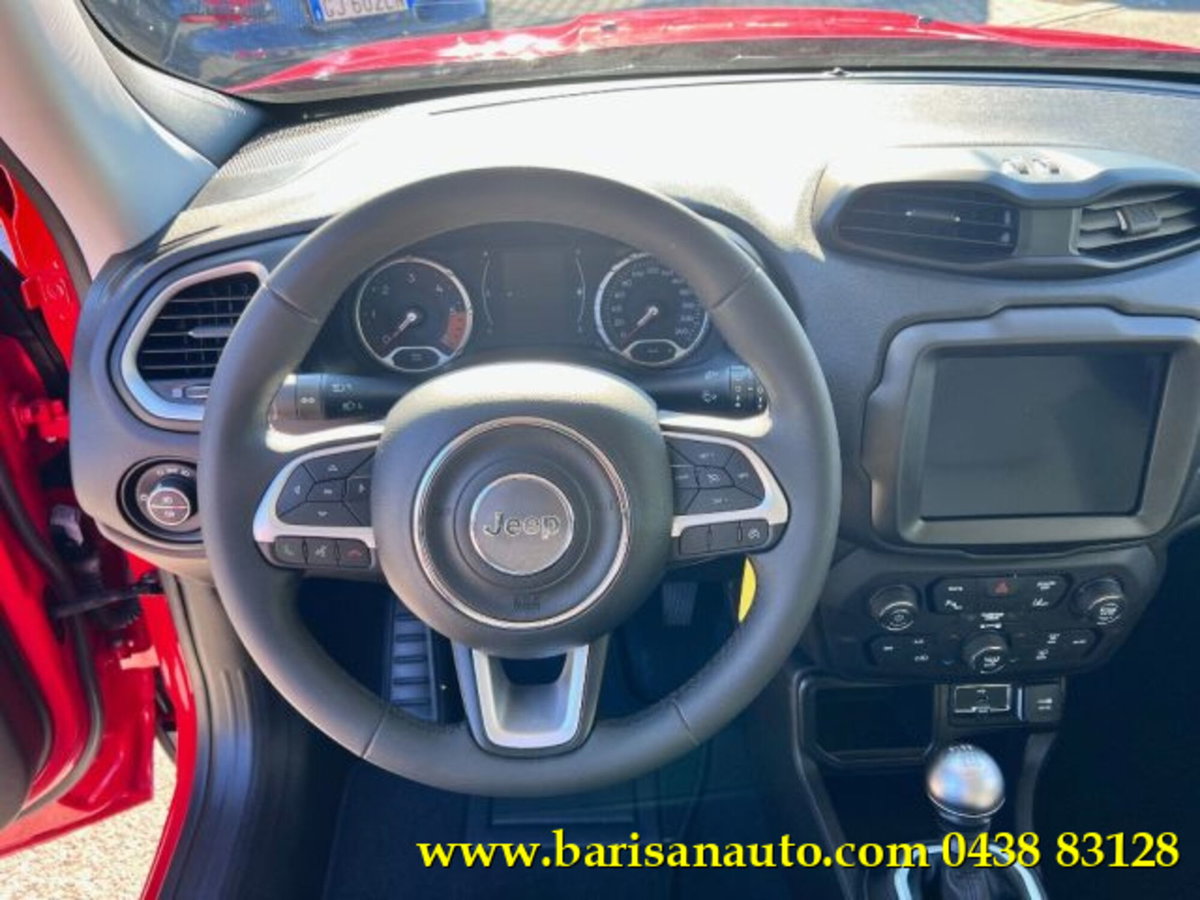 Jeep Renegade 1.6 Mjt 120 CV Business (9)