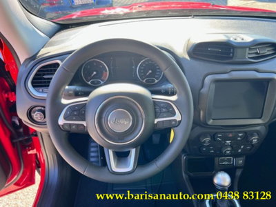 Jeep Renegade 1.6 Mjt 120 CV Business (9)