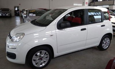 Fiat Panda 1.3 MJT 80 CV S&S Easy usata