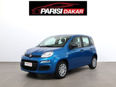 Fiat Panda 1.0 firefly hybrid s&s 70cv 5p.ti nuova