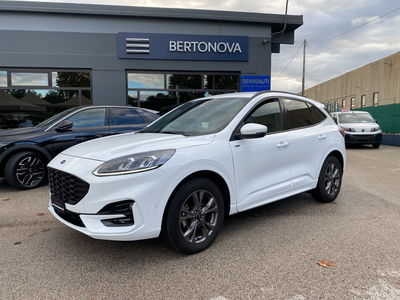 Ford Kuga 2.0 EcoBlue 120CV aut. AWD ST-Line X usata