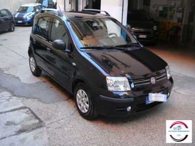 Fiat Panda 1.2 Dynamic usata