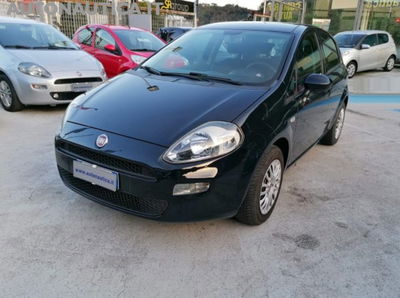 Fiat Punto 1.2 8V 5 porte Street usata