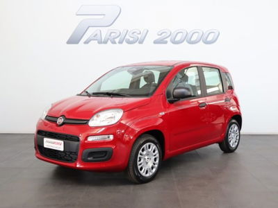 Fiat Panda 1.0 firefly hybrid s&s 70cv nuova