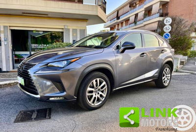 Lexus NX Hybrid 4WD Business usata