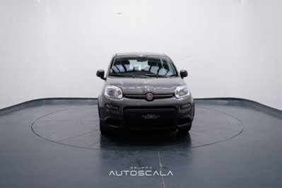 Fiat Panda 1.0 firefly hybrid s&s 70cv 5p.ti (2)