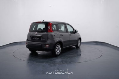 Fiat Panda 1.0 firefly hybrid s&s 70cv 5p.ti (6)